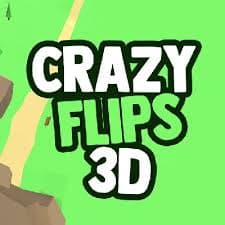 Crazy Flips 3D